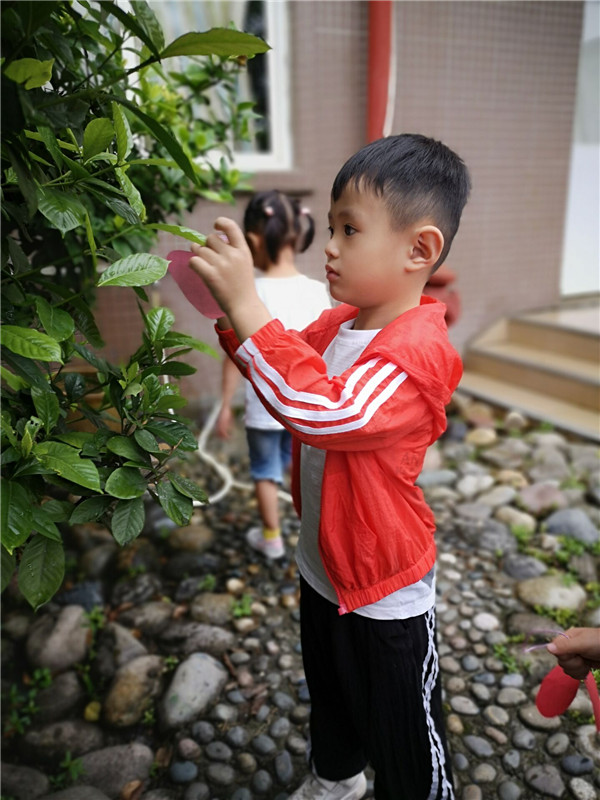 成都幼儿园开学典礼